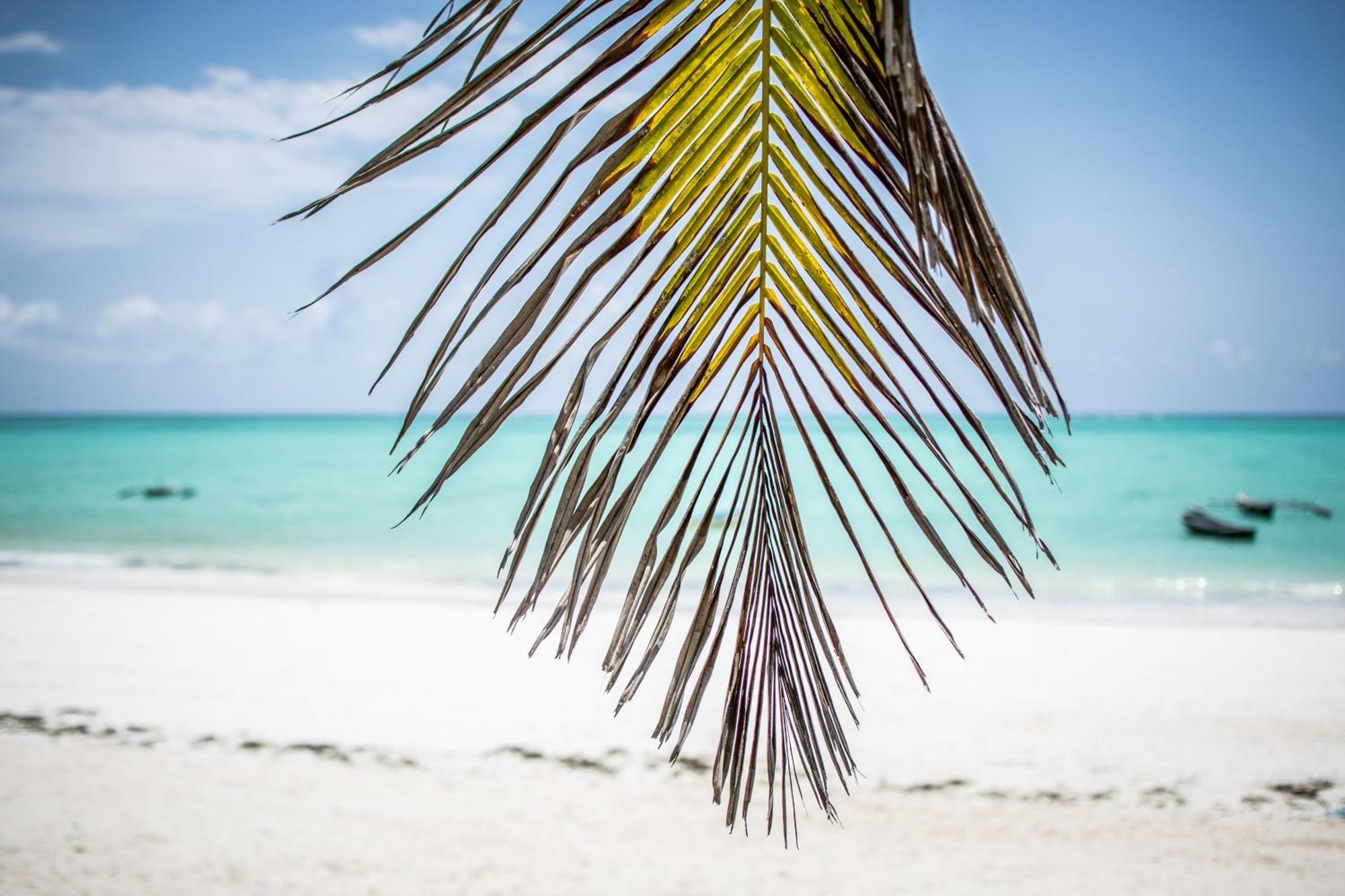 Mahali Zanzibar Hotel Paje Kültér fotó